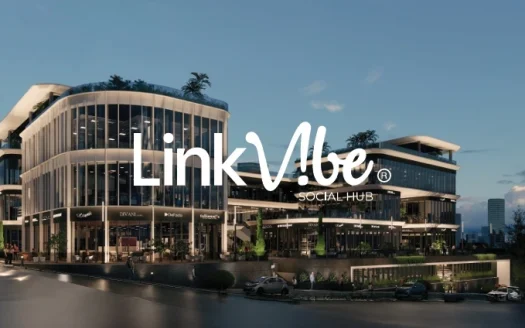 Link Vibe